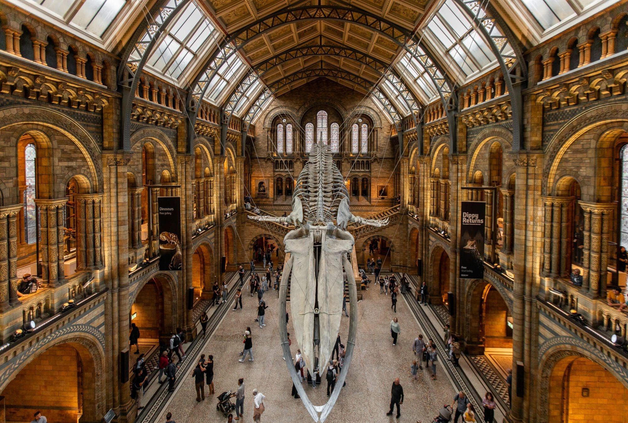 Natural History Museum London Museums Free Things to do