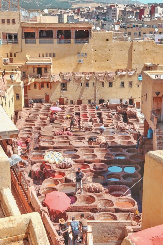Chouara Tannery Fez City Guide Travel Blogger Morocco Sights