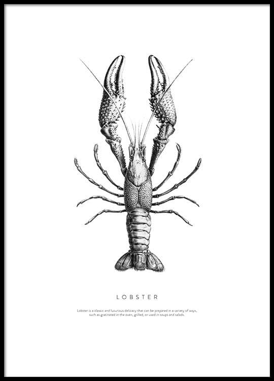 Lobster Print Desenio Wall Art