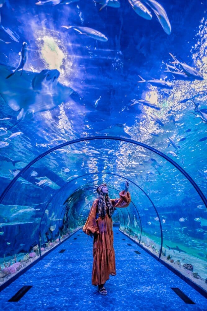 Aquarium Abu Dhabi UAE Travel Guide Things To Do