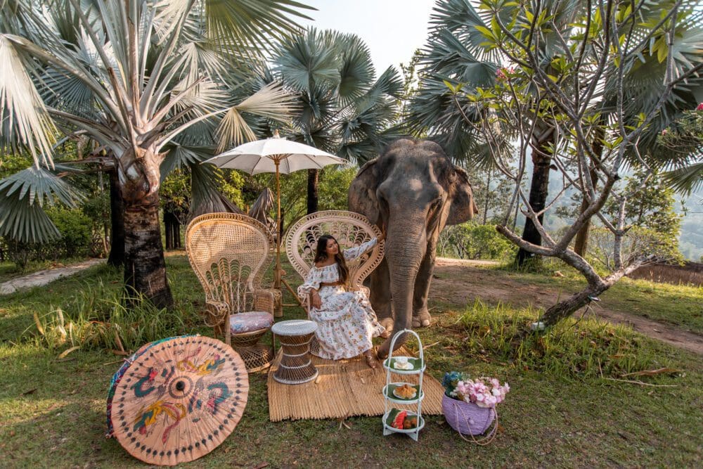 Chai Lai Orchid Elephant Camp Chiang Mai Thailand Ethical Hotel Uk Travel Review
