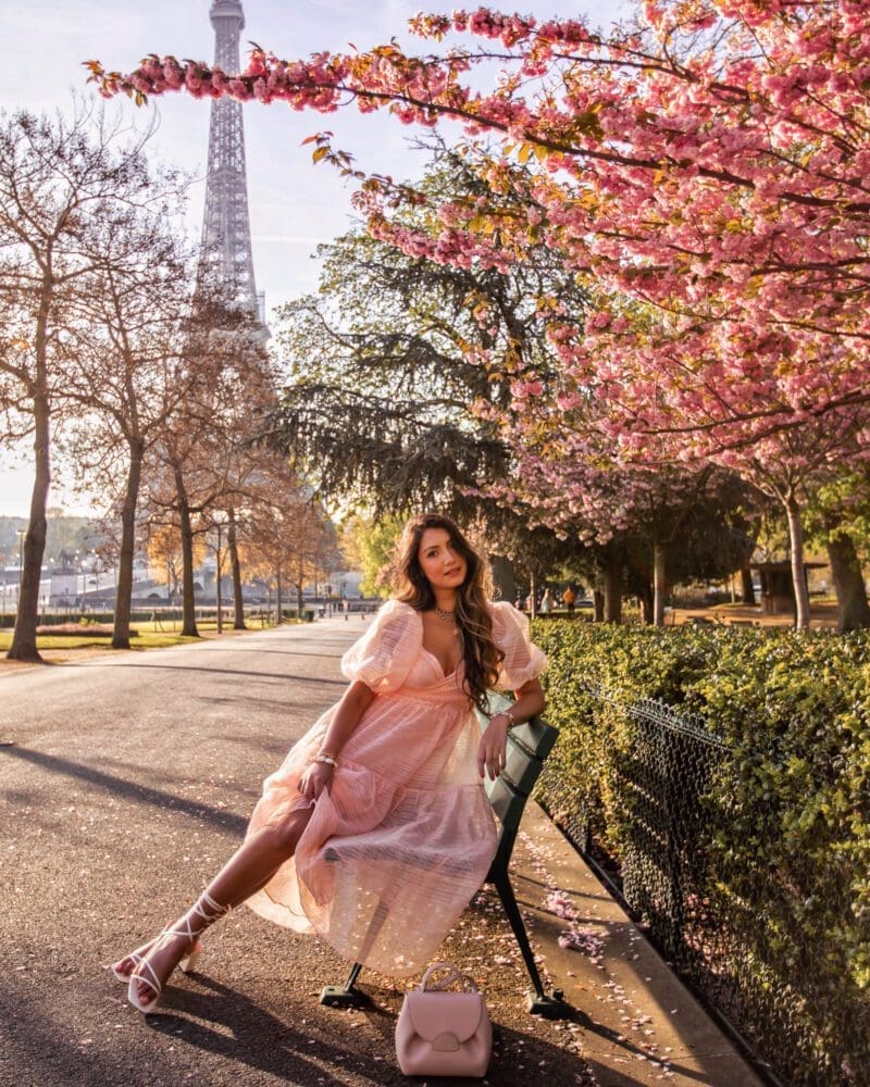 Paris Eiffel Tower Cherry Blossom Instagram Locations