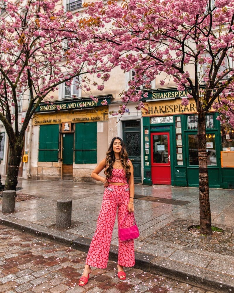 Shakespeare and co blossom Paris Instagram Locations