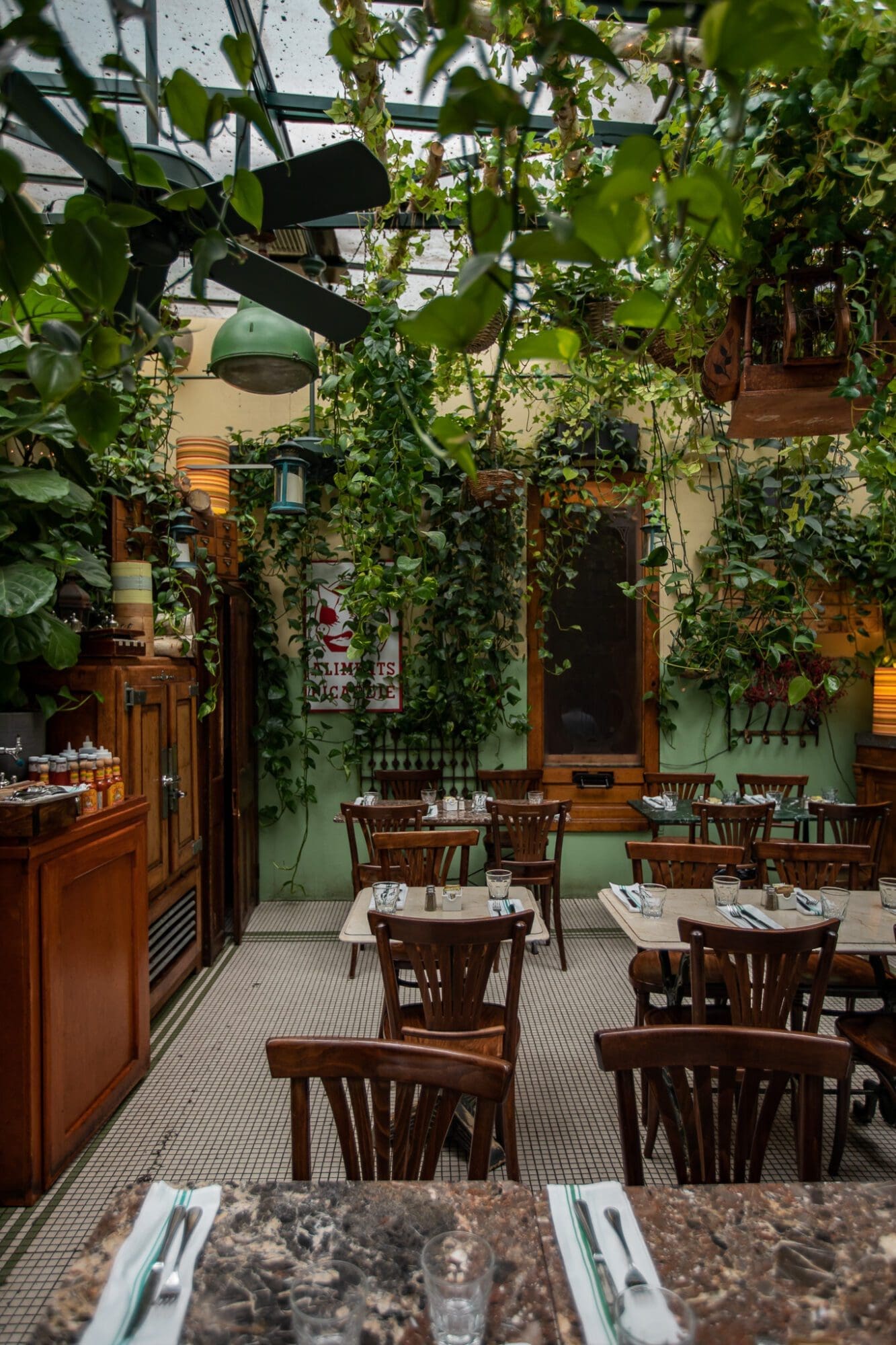 A green foliage filled courtyard at asethetic french restaurant Juliette in Brooklyn, New York City