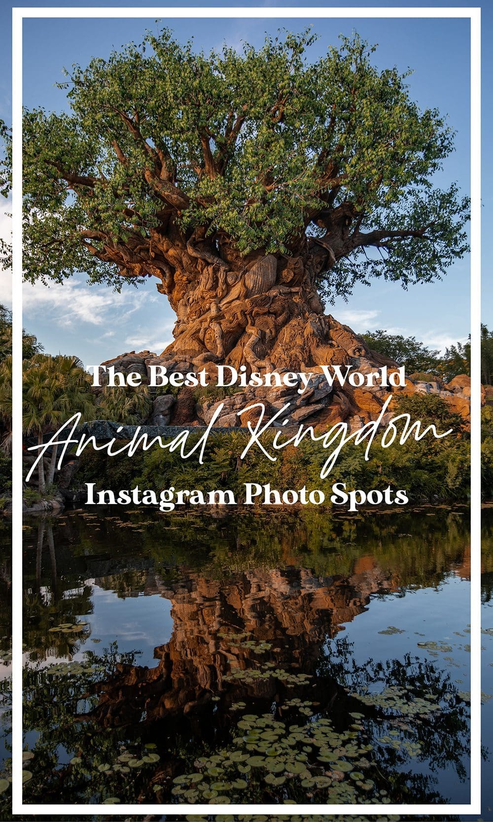 The Best Disney World Orlando Florida Animal Kingdom Instagram Photo Spots Locations