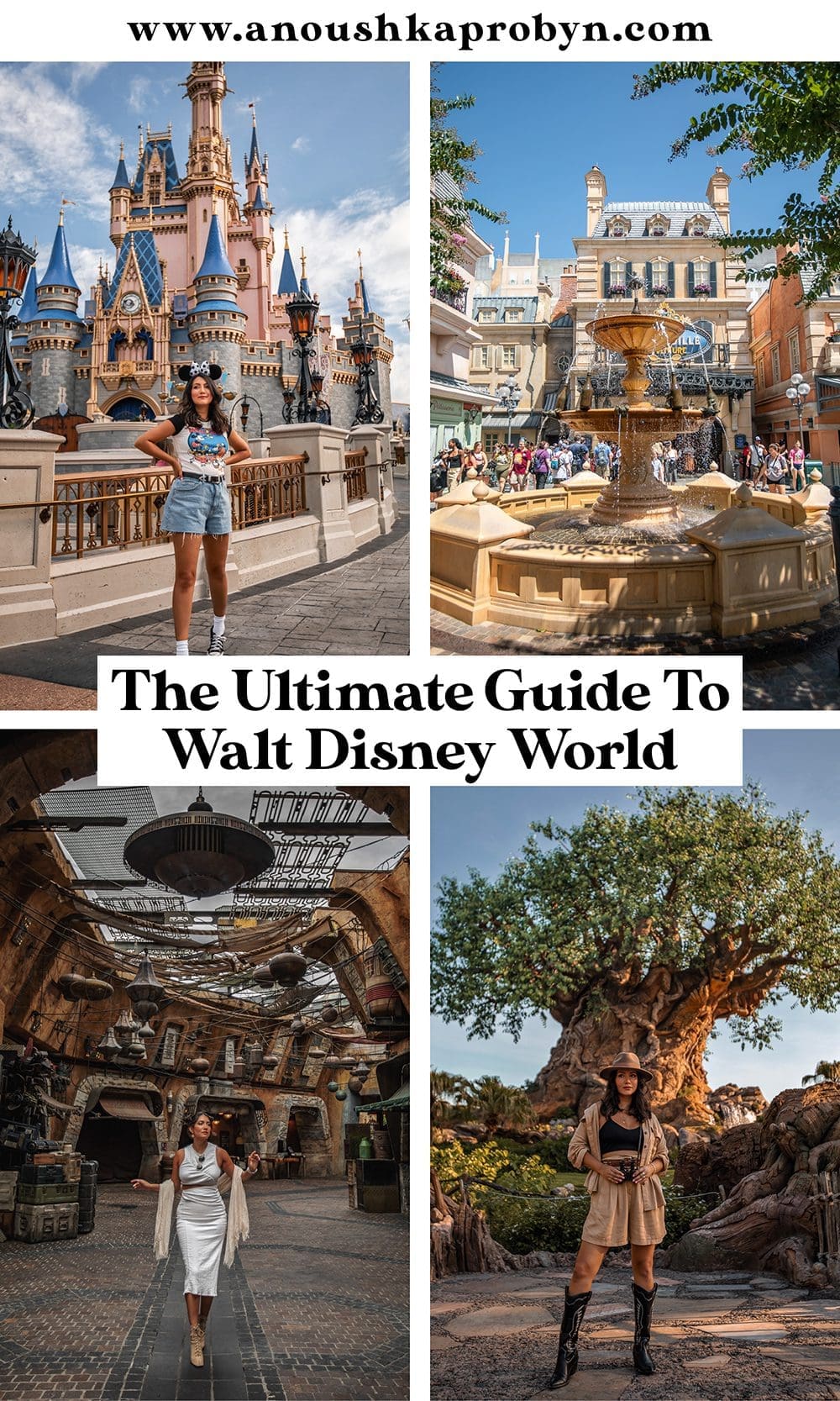 Ultimate Disney World Guide Orlando Florida