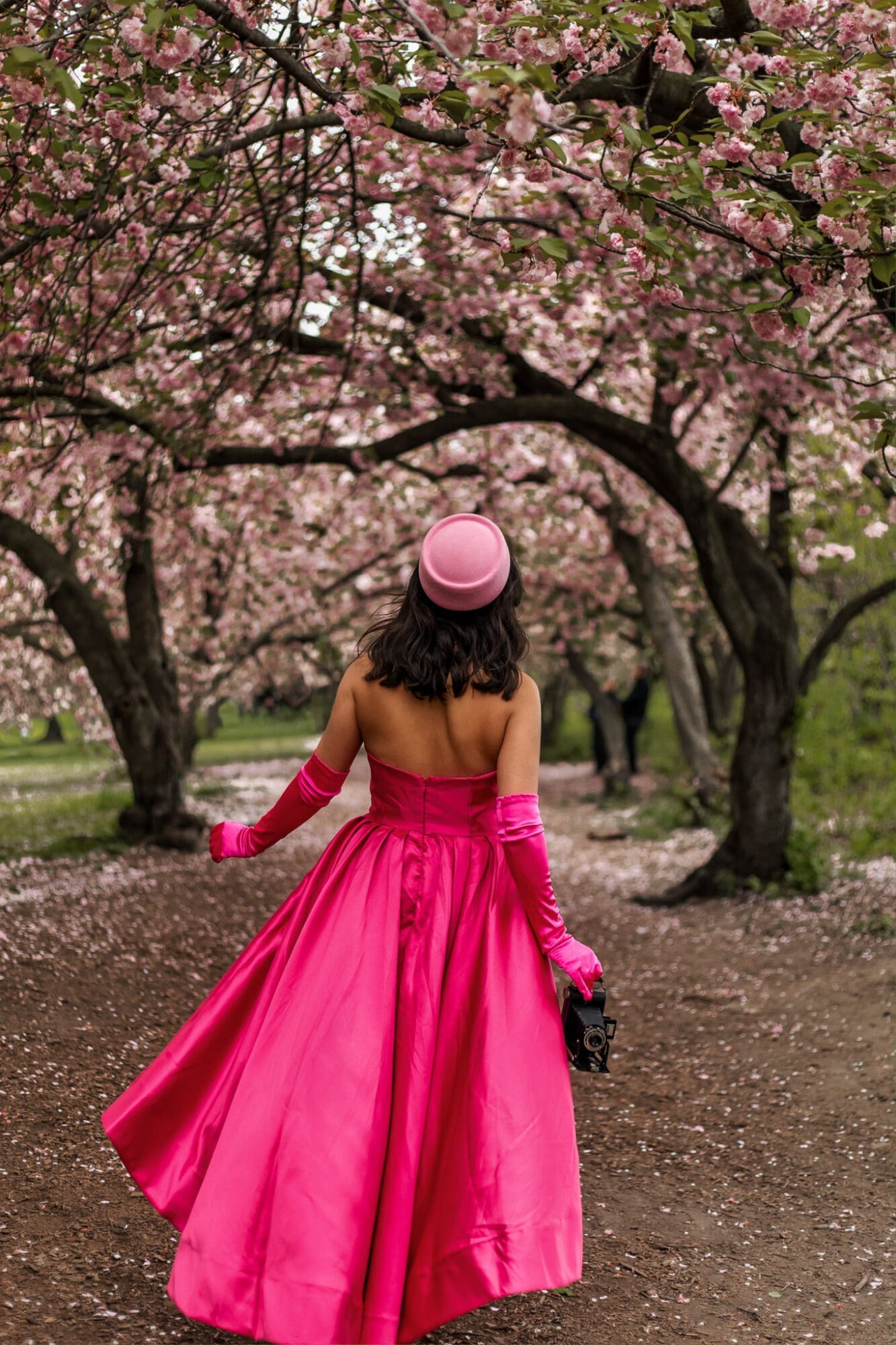 Central Park New York Photo Spots Cherry Blossom Locations