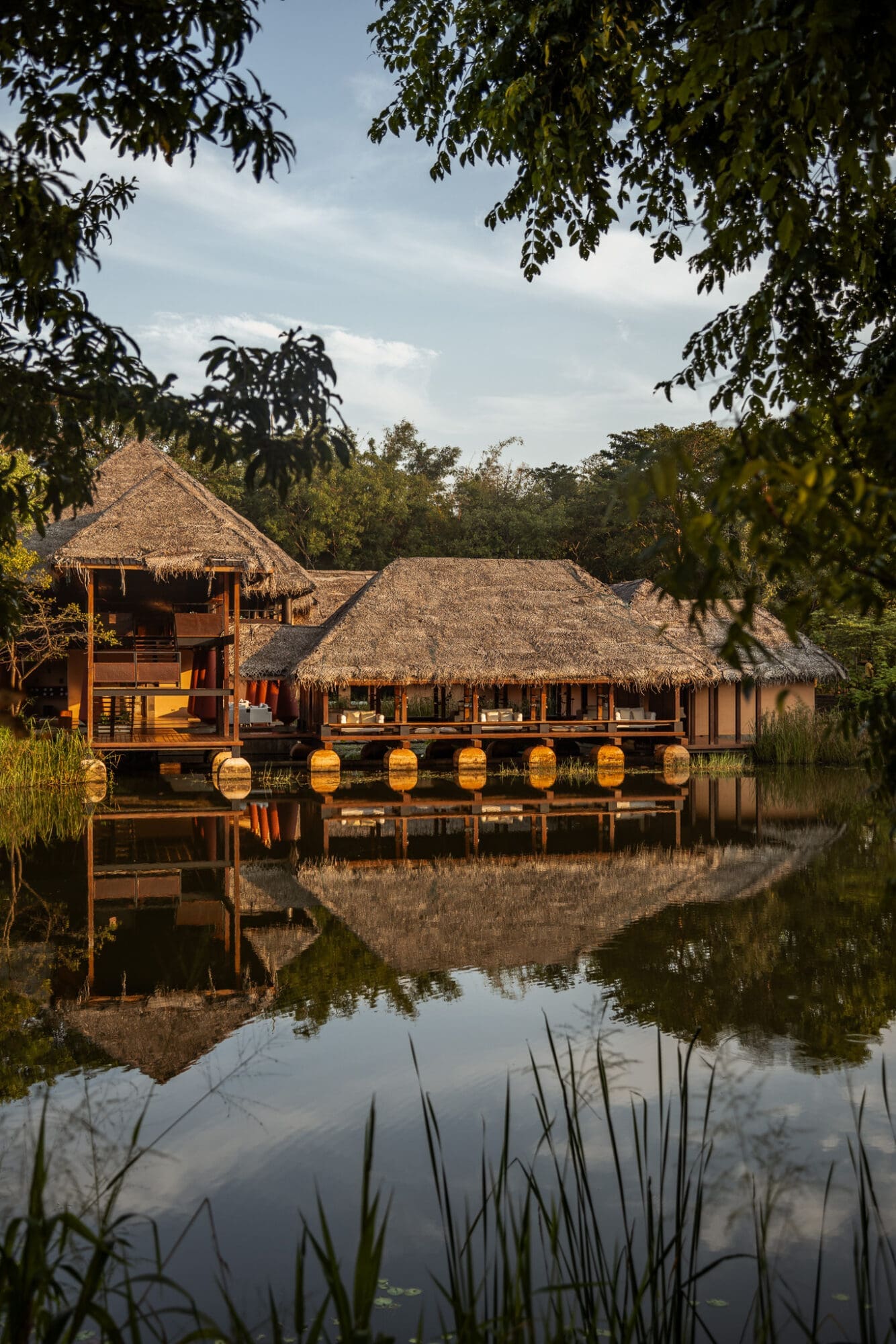 Jetwing Vil Uyana Sigiriya Luxury Hotel Sri Lanka Golden hour