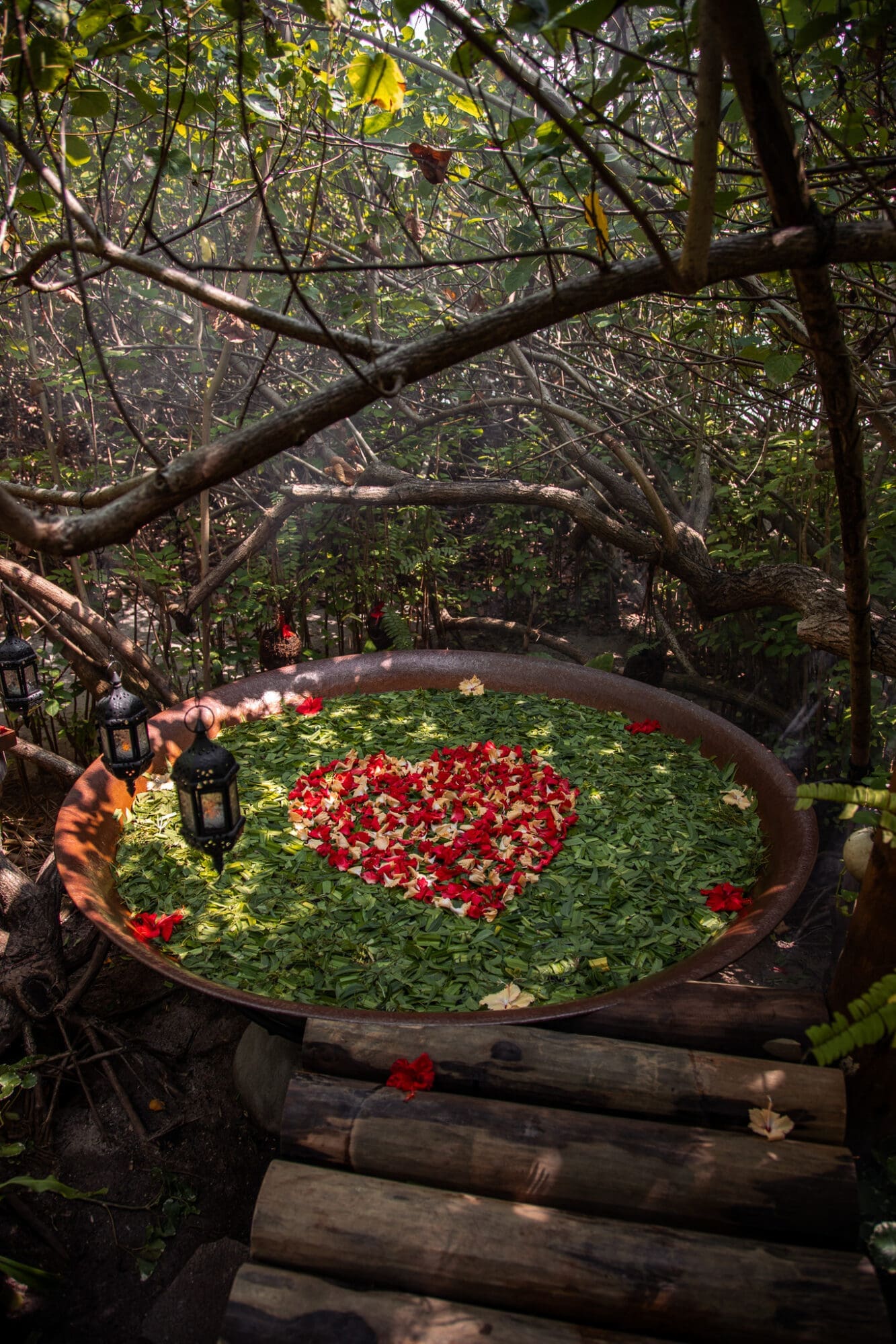 Araamu Spa Pot Tub Experience Villa Park Maldives Resort Review