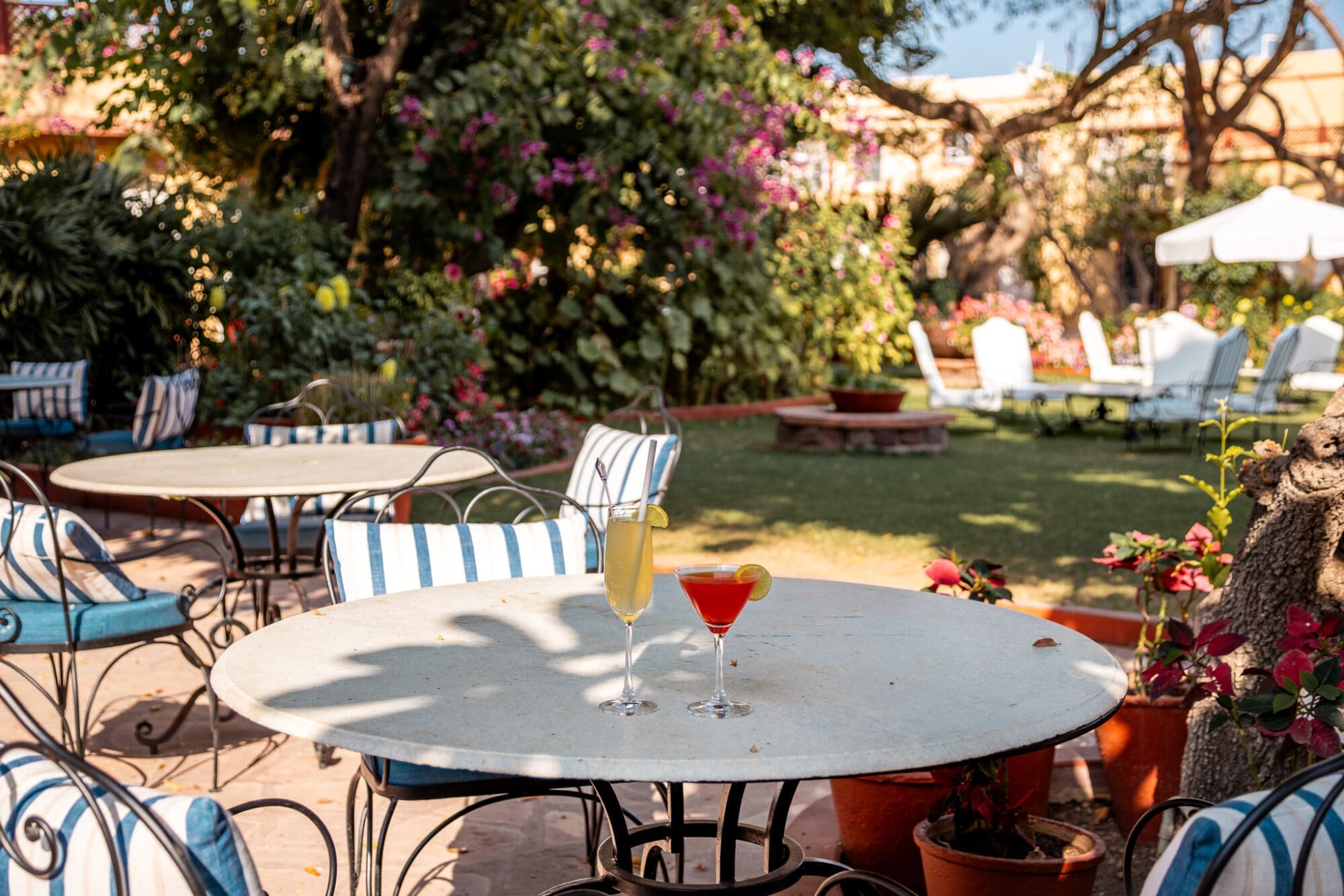 Cocktails in the garden at Rohet Garh Rajasthan. India Luxury Hotel