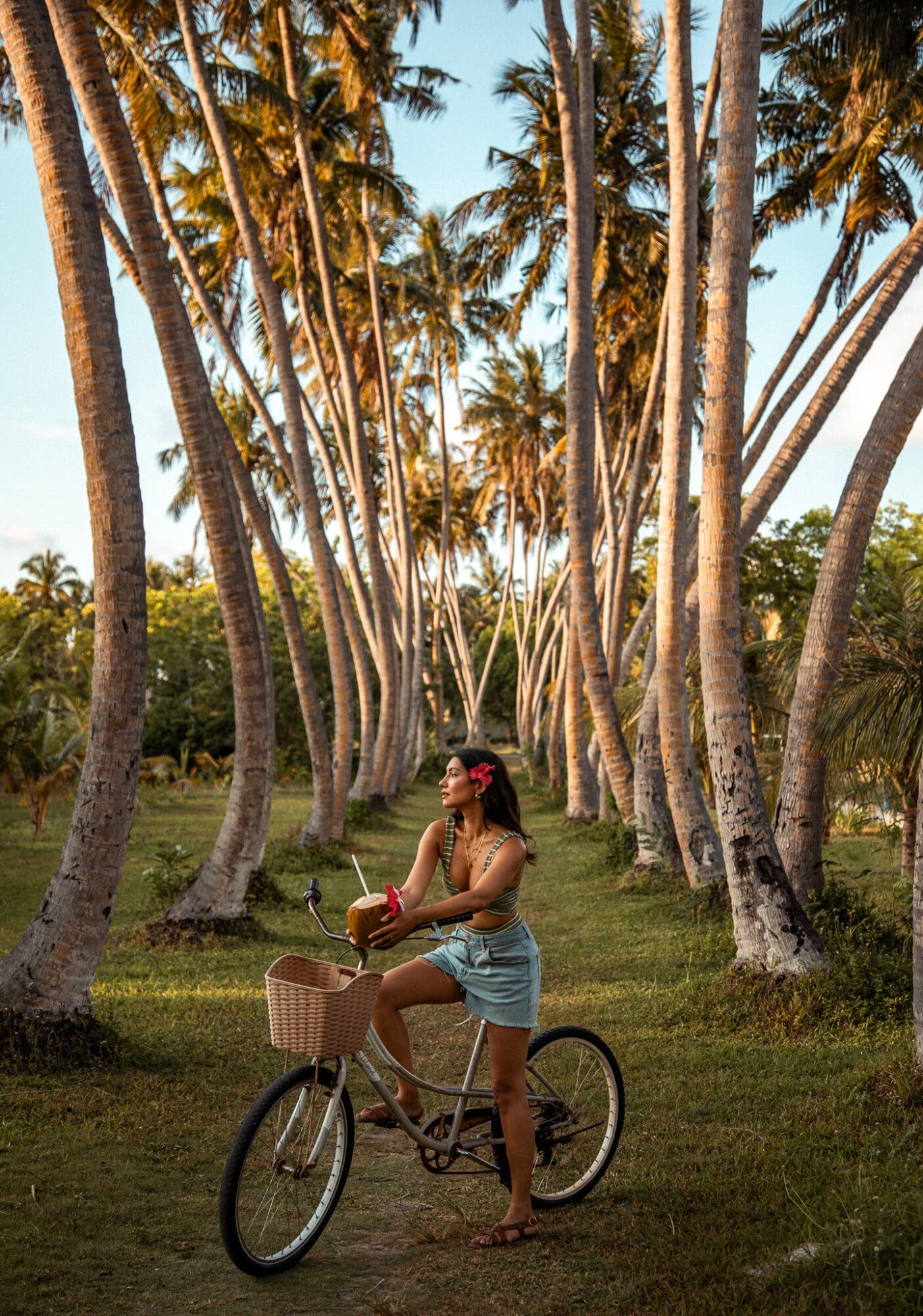 Palm Tree Walkway at Villa Park Maldives