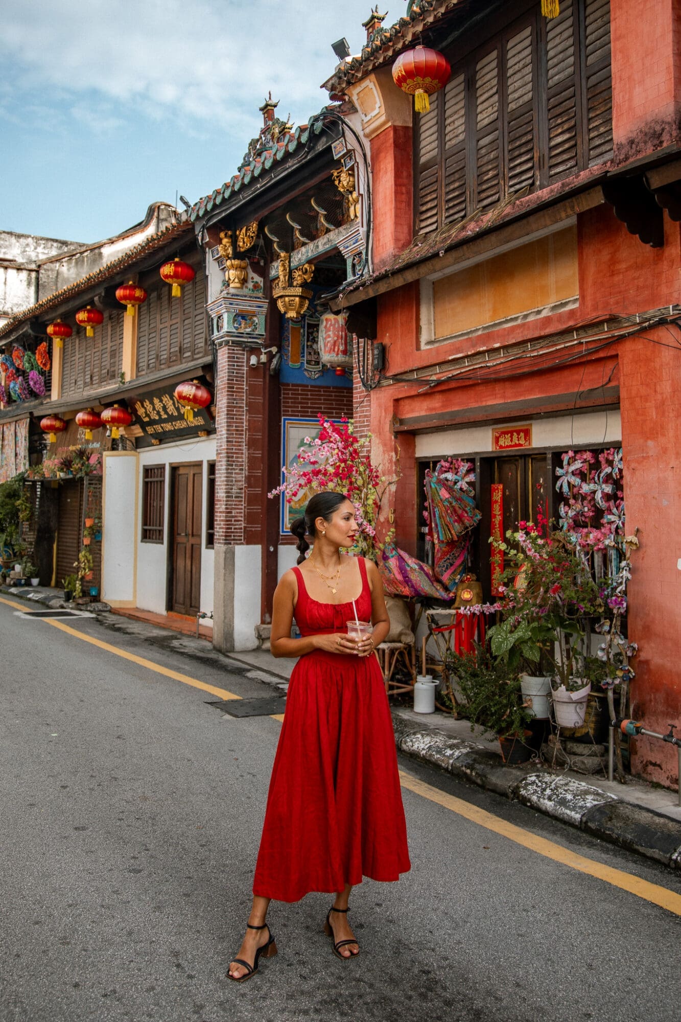 Armenian Street George Town Penang Malaysia Colourful Shop House