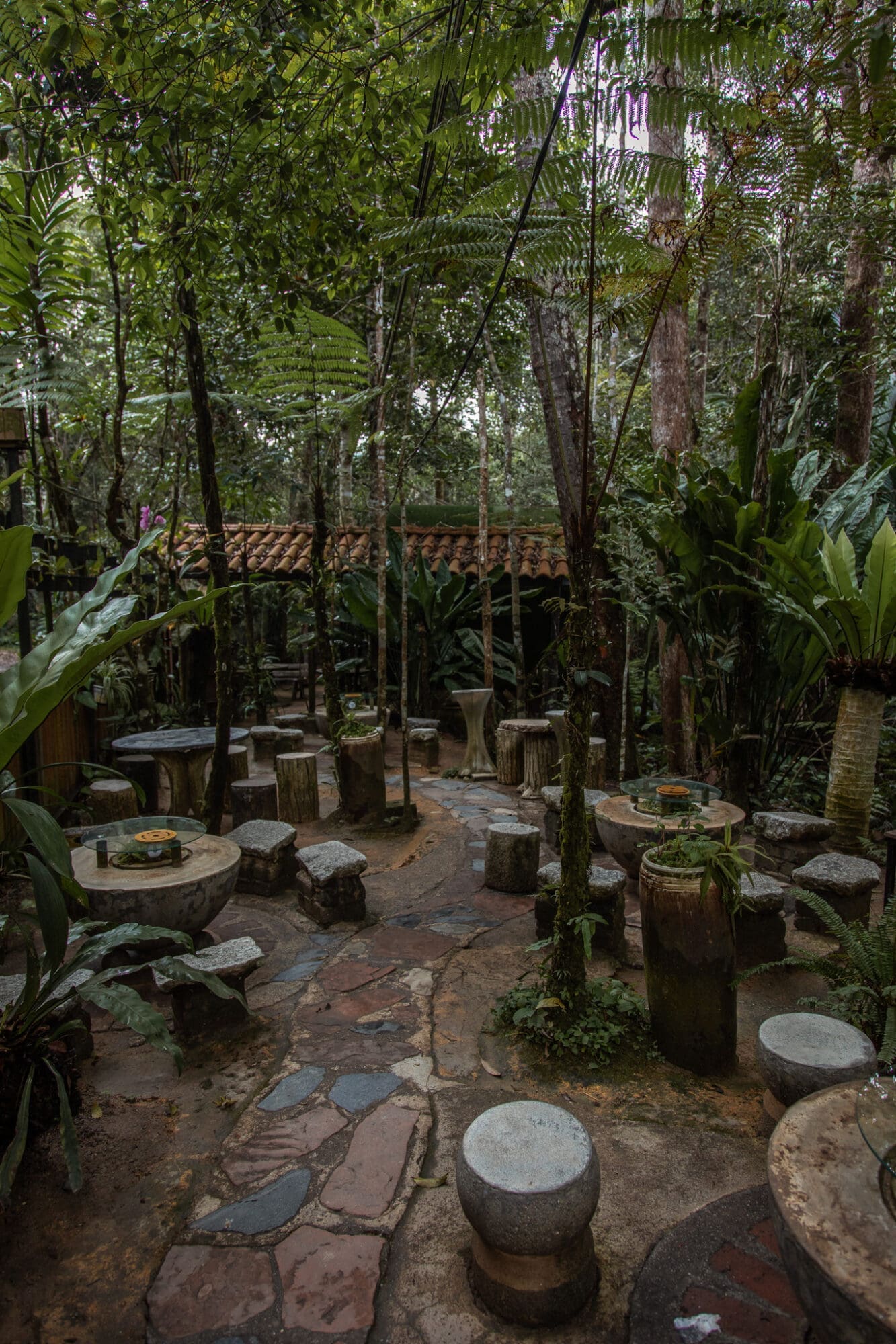 Kopi Hutan Cafe Penang Hill George Town Nature