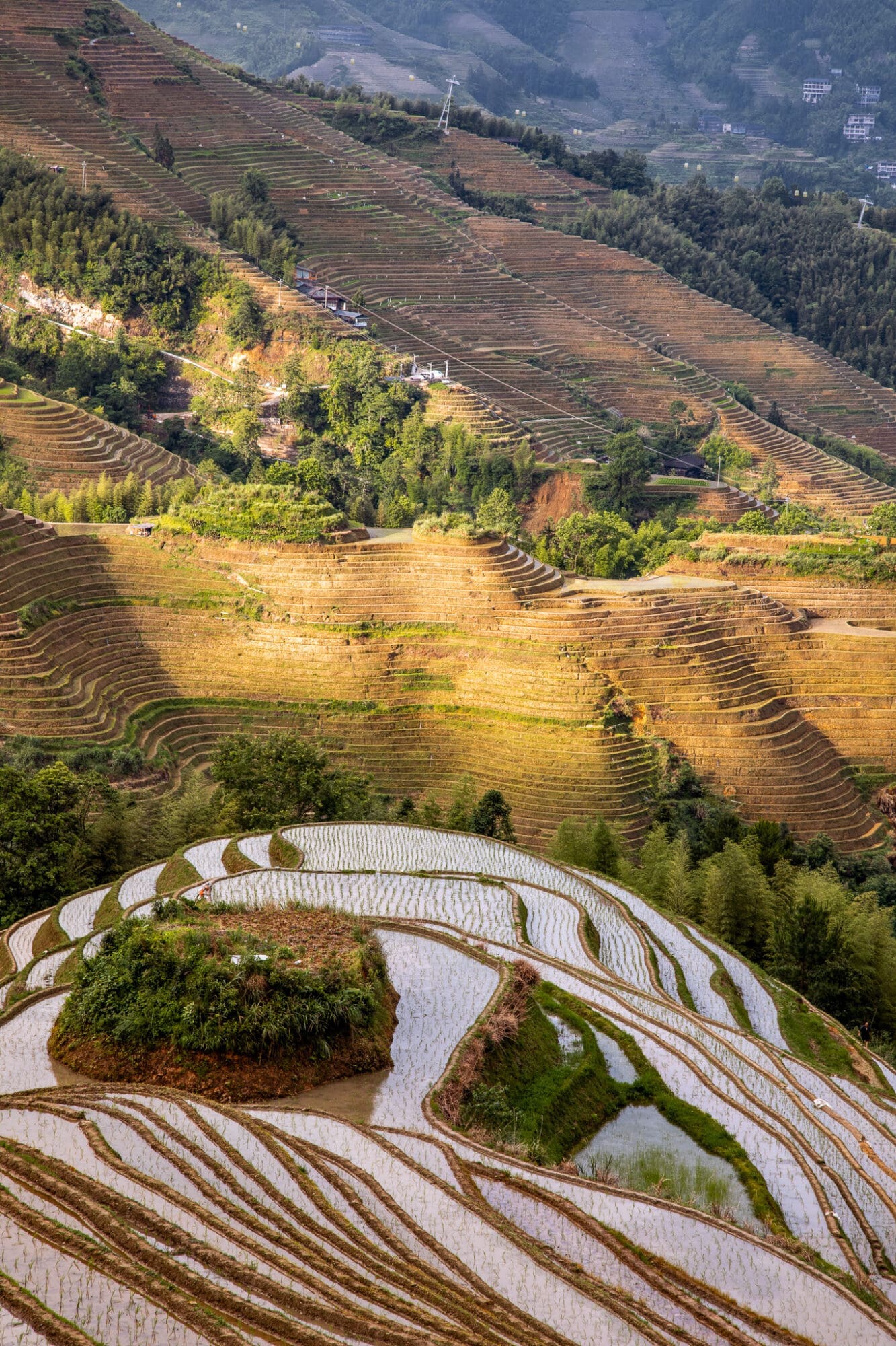 Longji Rice Terraces Dazhai Guilin things to do in June