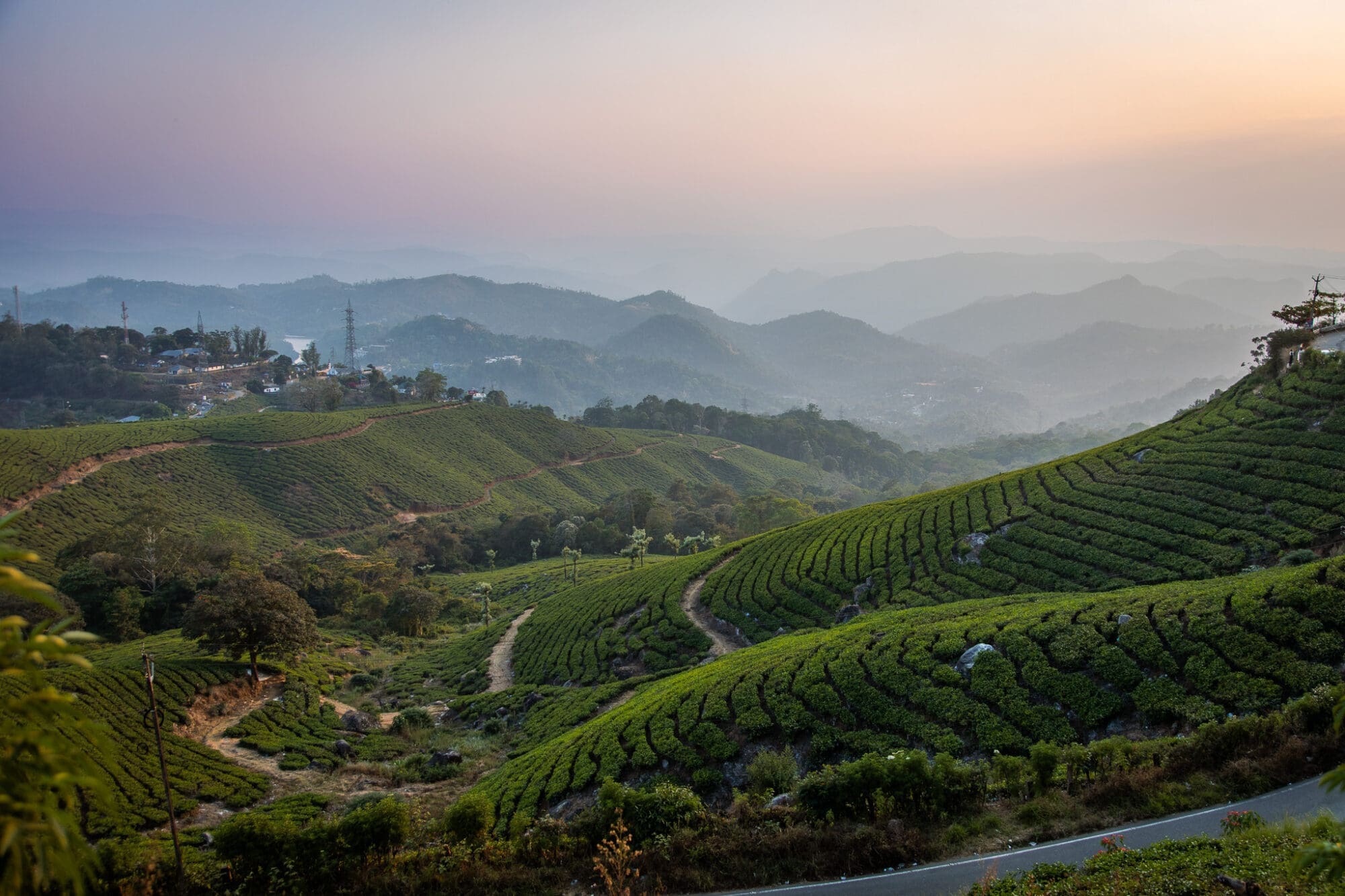 Munnar Sunset over the tea plantations Kerala