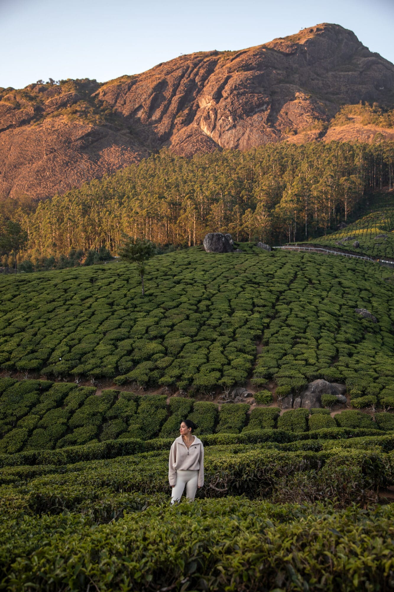 Munnar Tea Plantations Sunrise