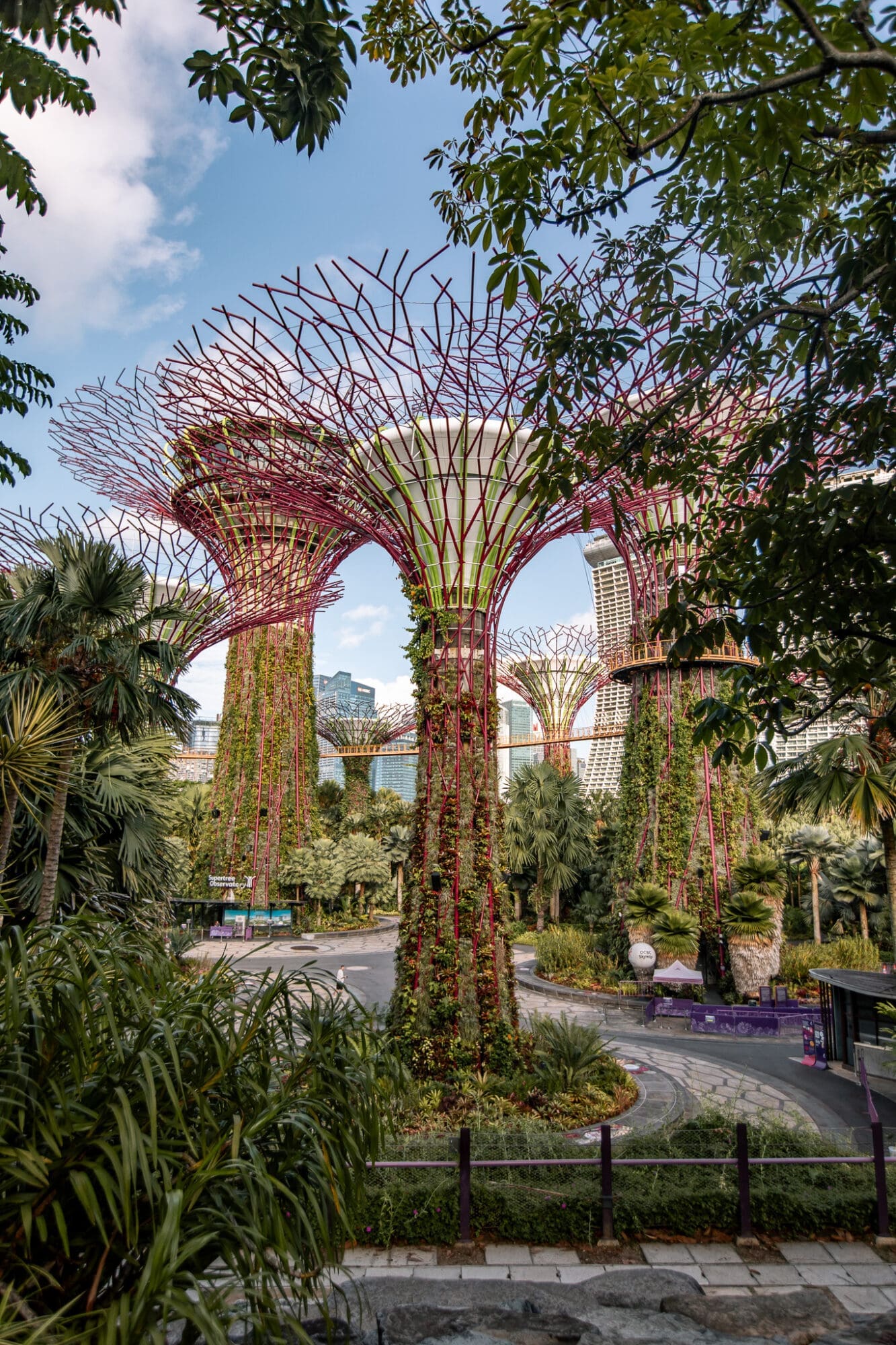 Gardens by the bay Supergrove things to do in Singapore