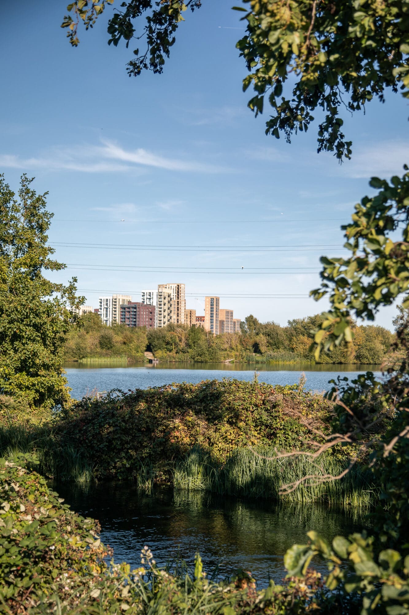 Things to do in Walthamstow Wetlands
