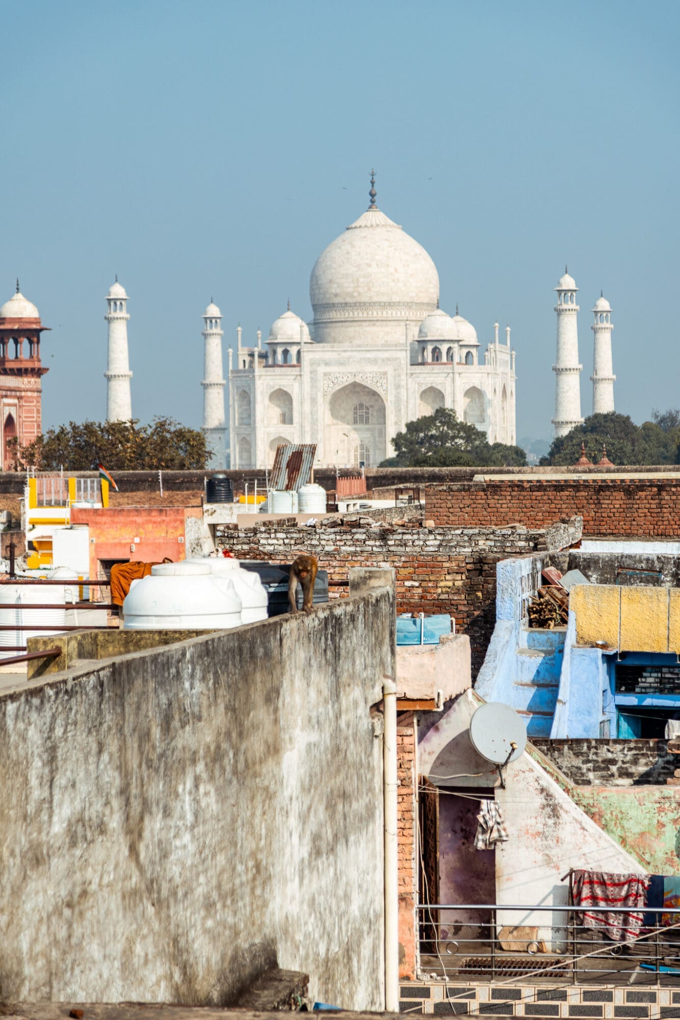 View of the Taj Mahal from Joey's Hostel Agra India