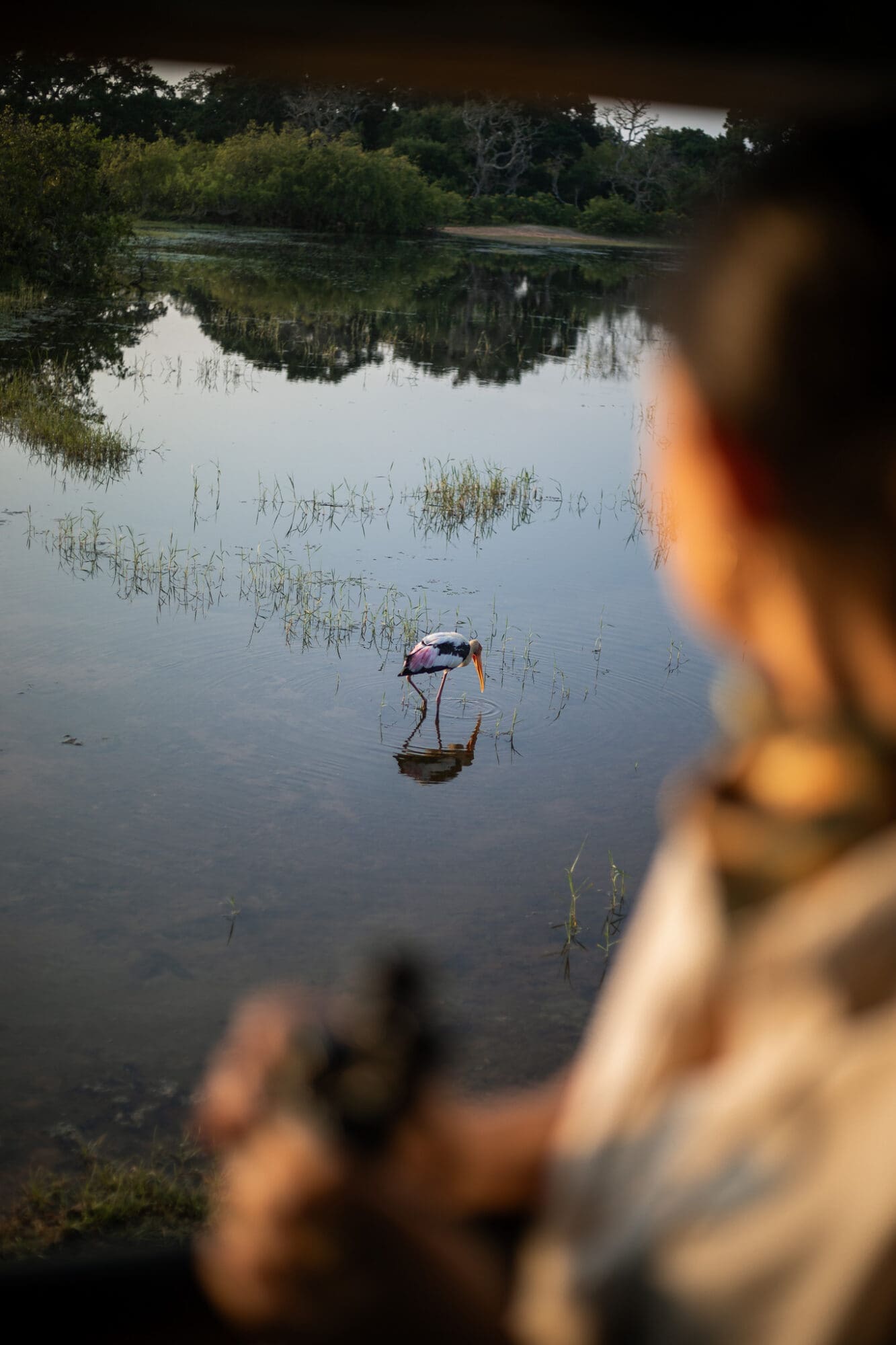 Yala National Park Safari Sri Lanka