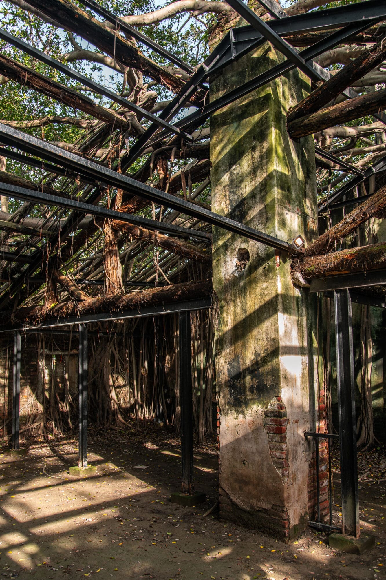 Anping Treehouse, Tainan Things to do Interior Branches