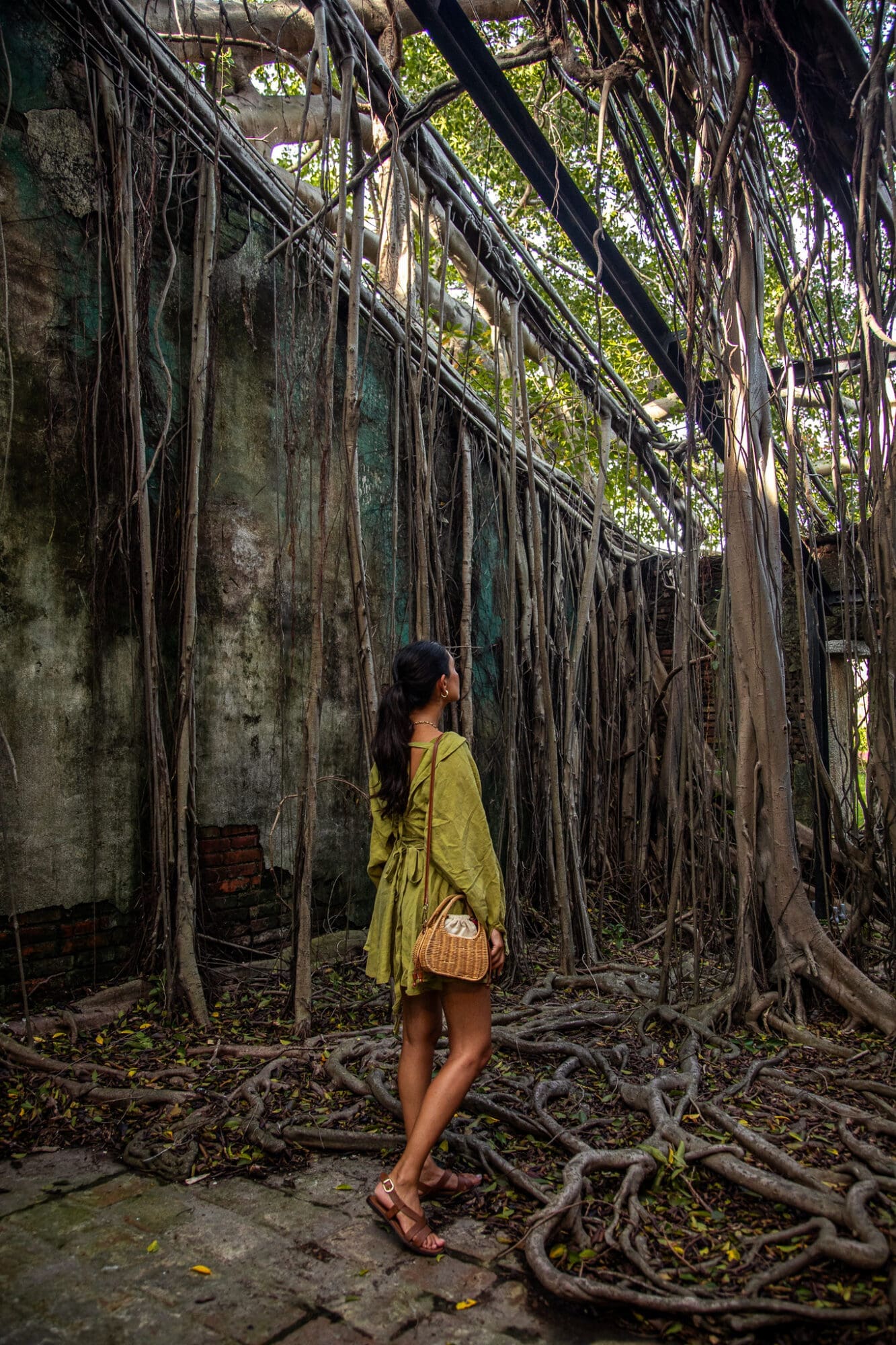 Anping Treehouse, Tainan Things to do