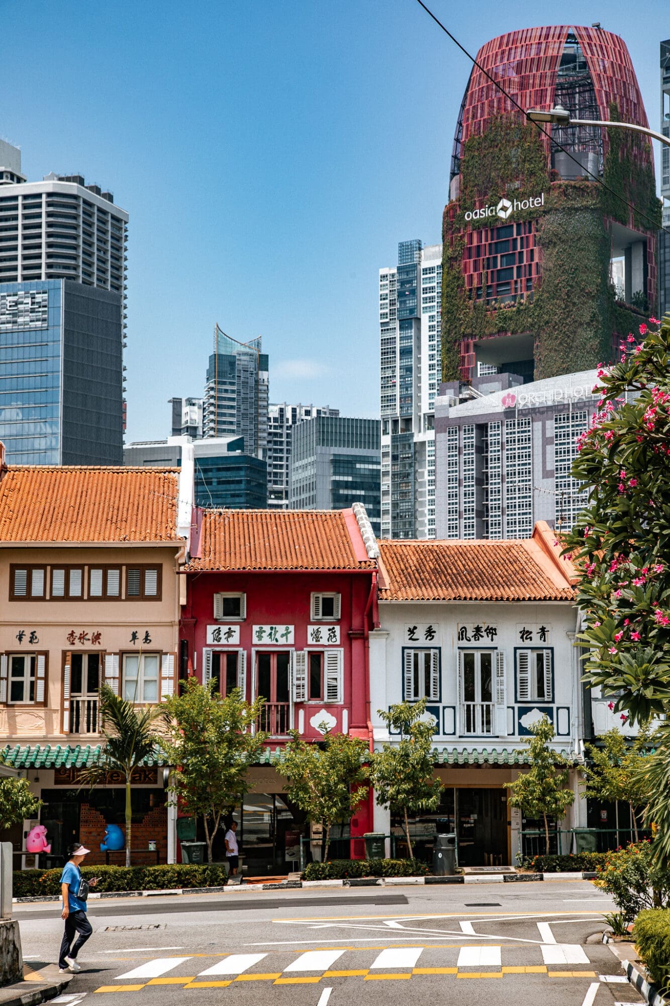 Chinatown Neighbourhood Colourful shop houses Singapore Photography Spots Full size