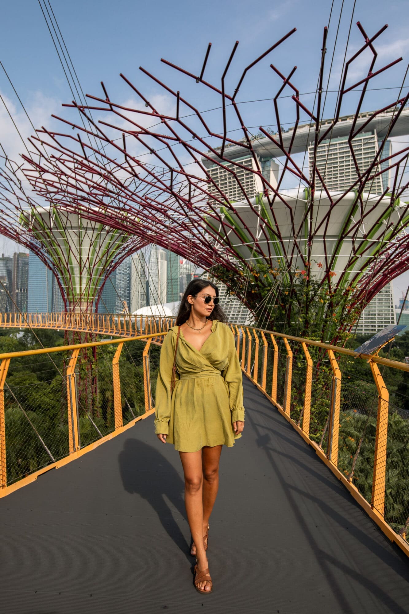 Gardens By The Bay Super Tree Grove Sky Walkway Singapore