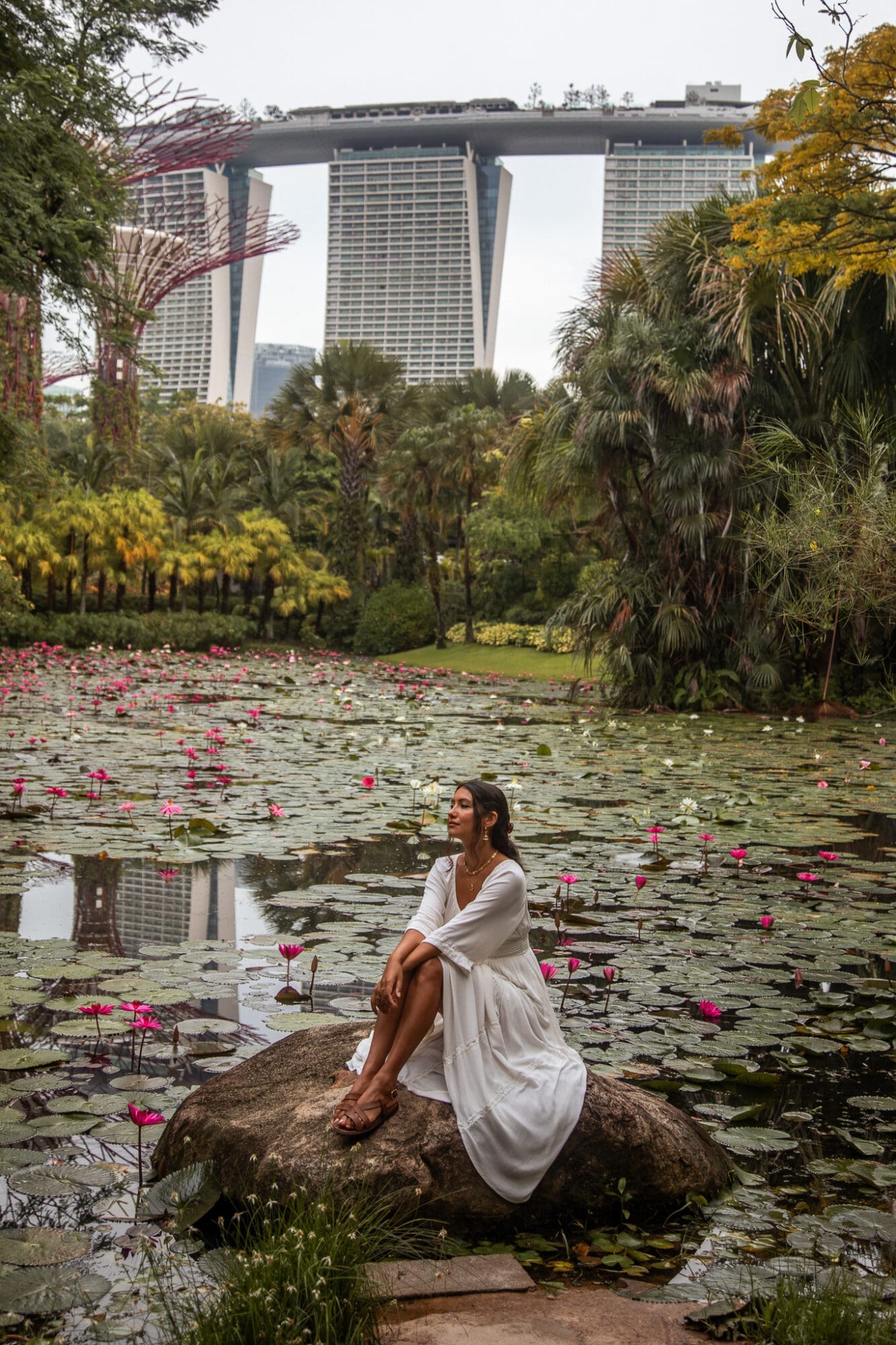 Gardens by the Bay Singapore Lilly Pond Marina Sands View Photography Spots in Singapore