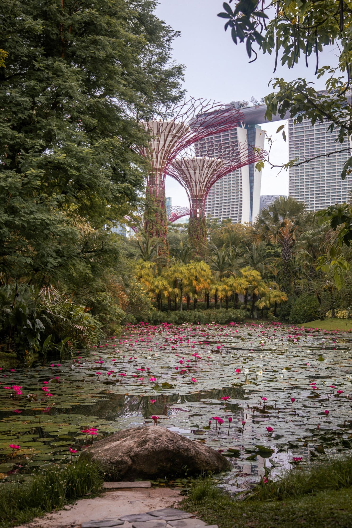 Gardens by the Bay Singapore Lilly Pond Marina Sands View