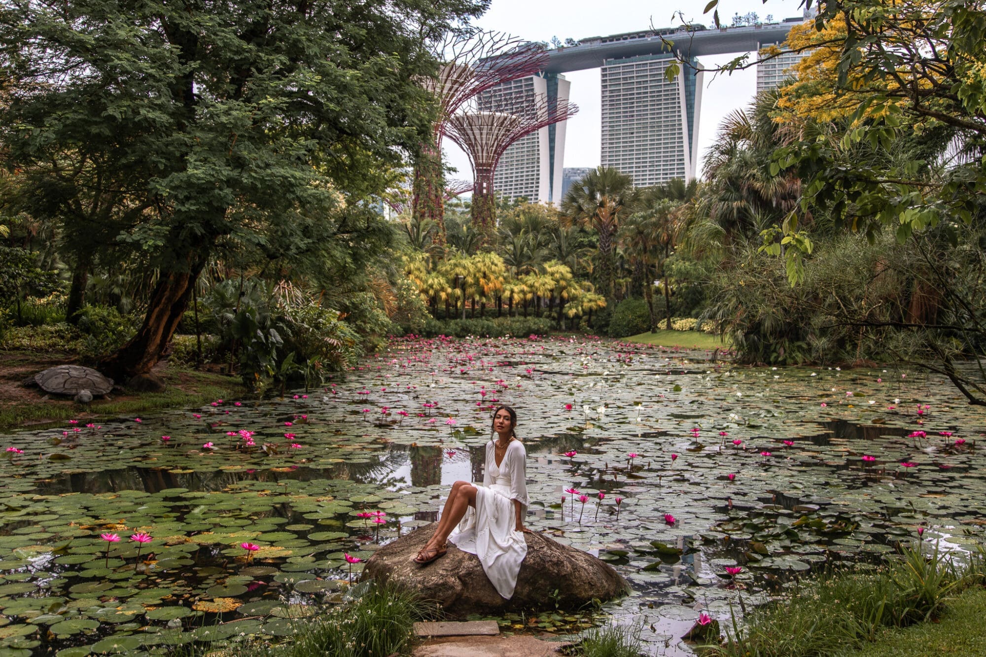 Lily Pond Gardens by the Bay Singapore
