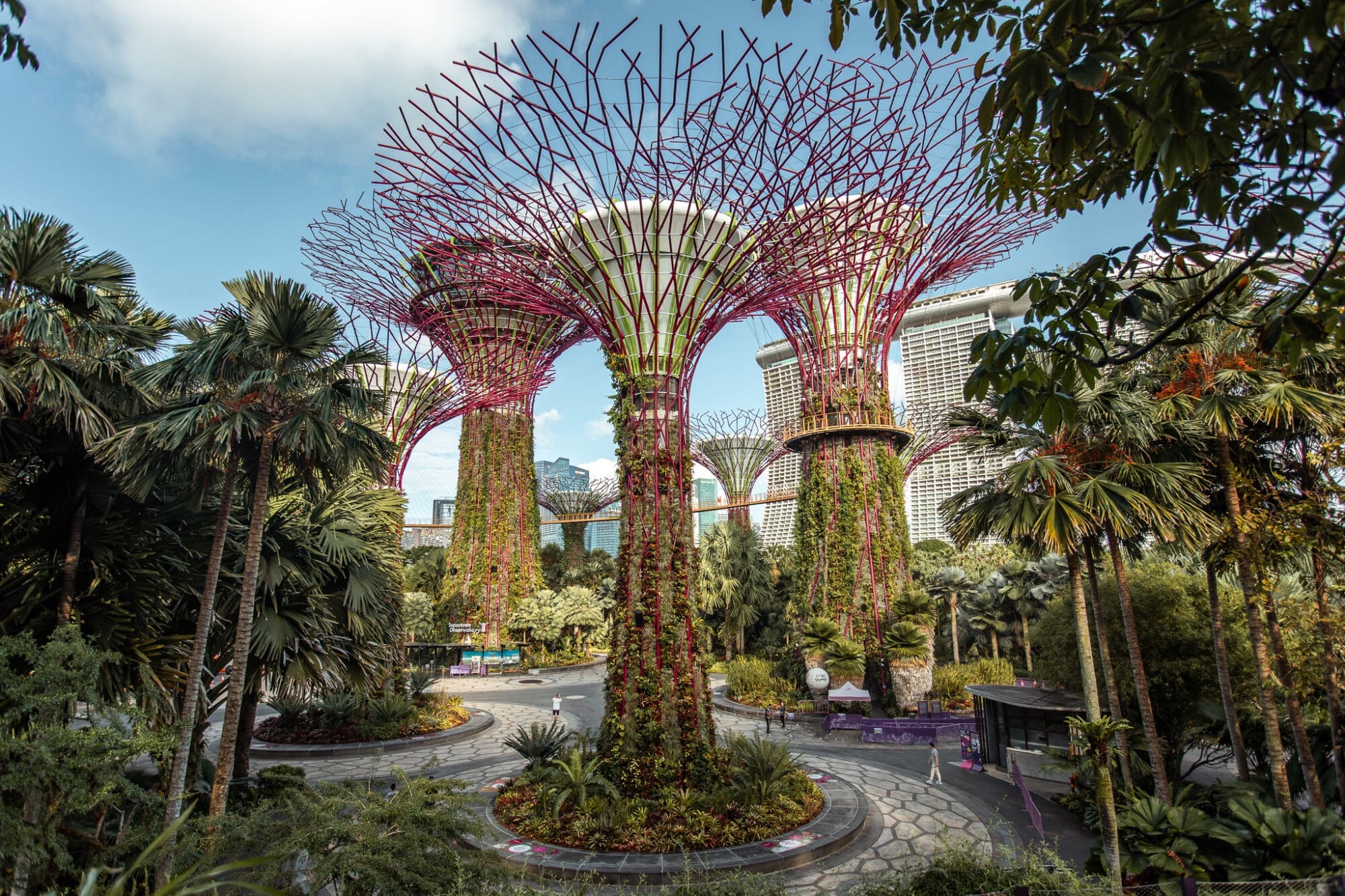 Super Tree Grove Singapore 3 Day Itinerary