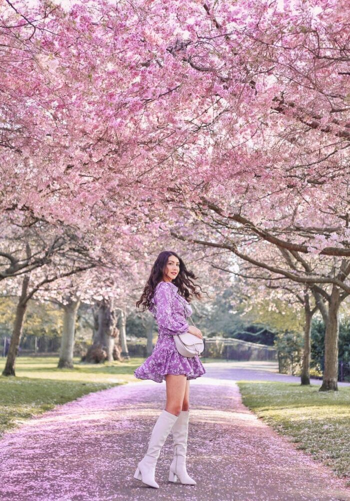 1 Ravenscourt Park Cherry Blossom Instagram Locations Spring London