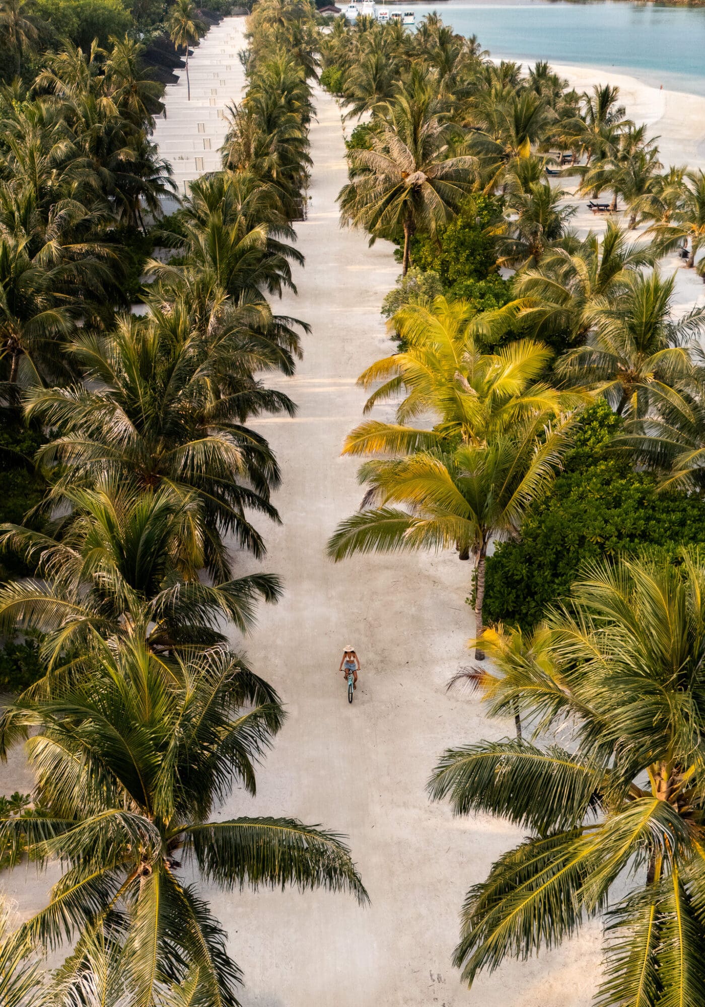 Aerial Drone photo of a palm tree lined alley and bike at Villa Nautica Maldives