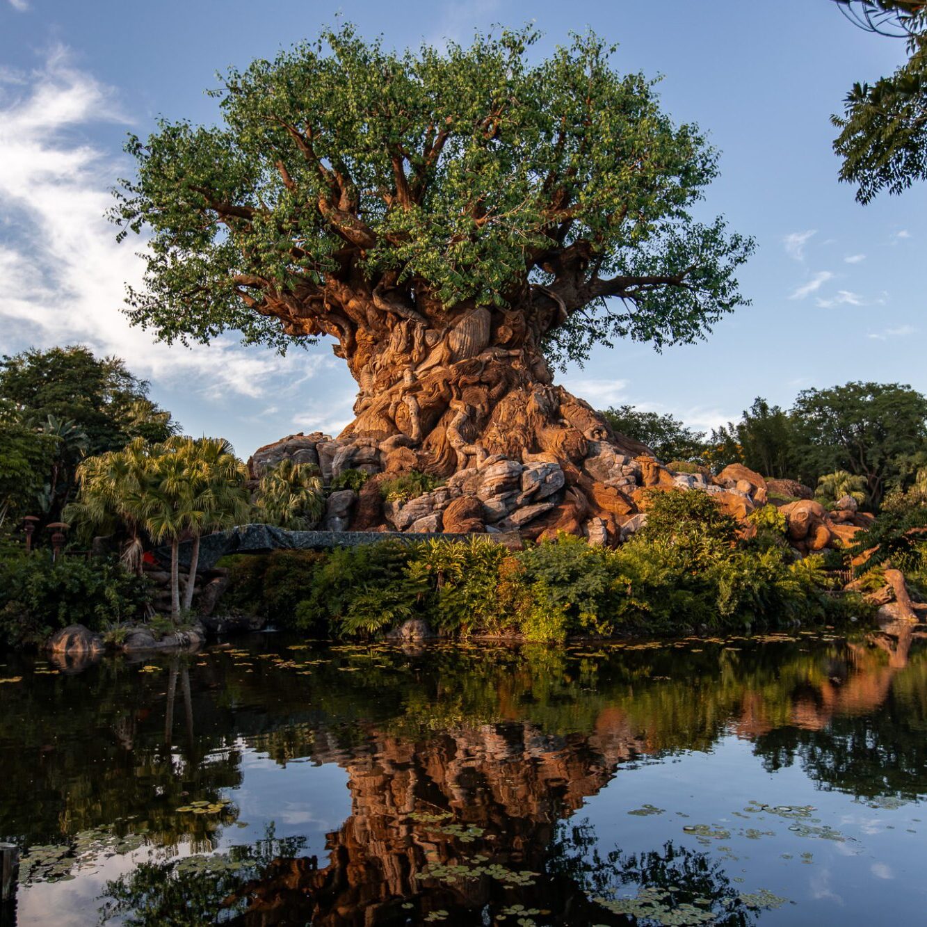 Animal Kingdom Walt Disney World Florida Theme Park Travel Guide Tree of Life