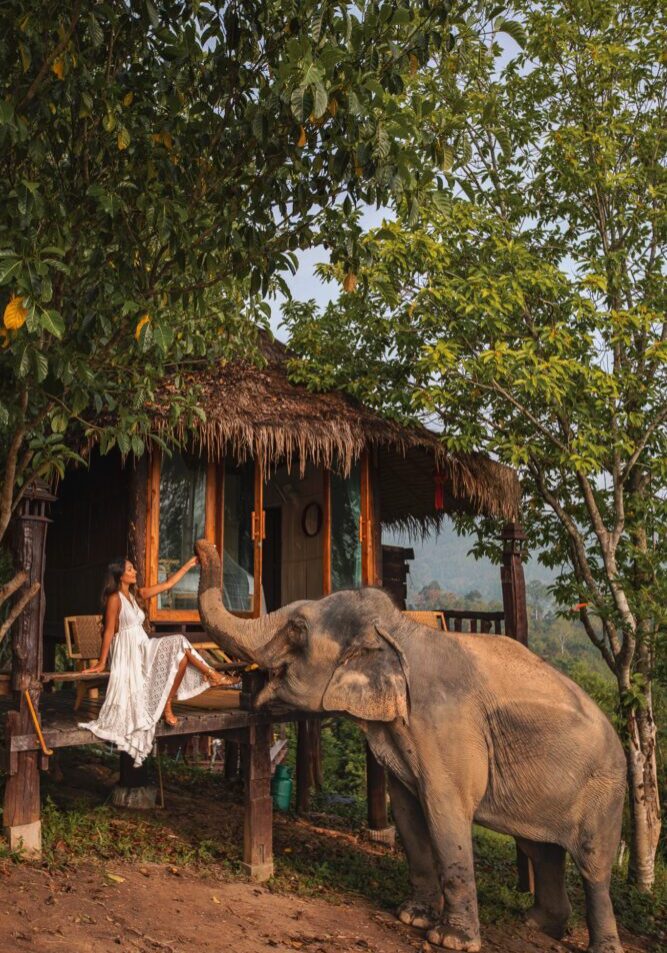Chai Lai Orchid Elephant Camp Chiang Mai Thailand Ethical Hotel Uk Travel Review Mountains