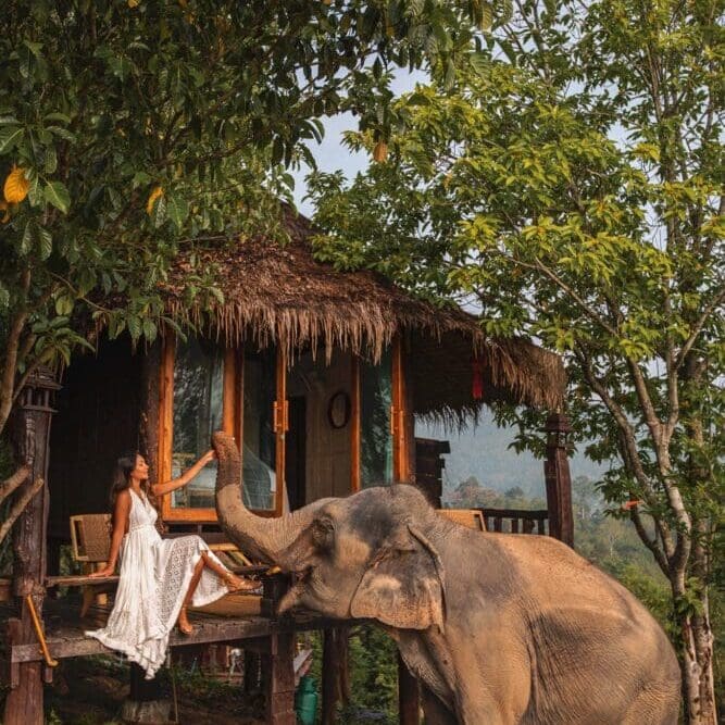Chai Lai Orchid Elephant Camp Chiang Mai Thailand Ethical Hotel Uk Travel Review Mountains