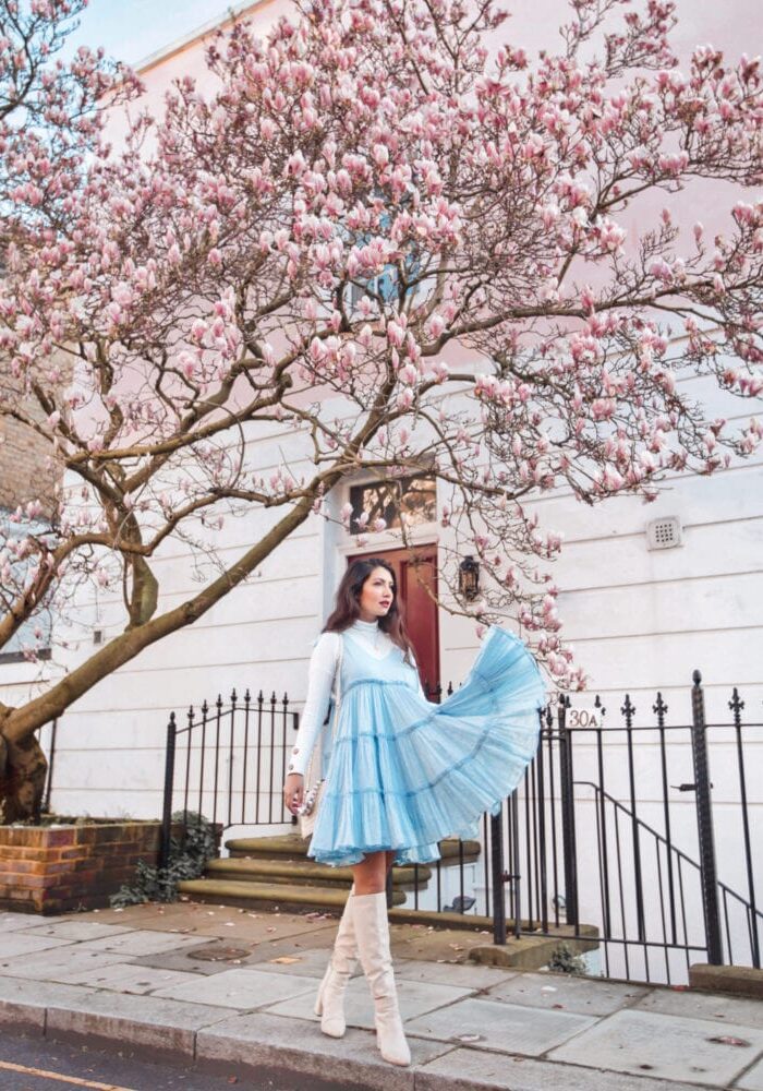 Chelsea Cherry Blossom Instagram Locations Spring London