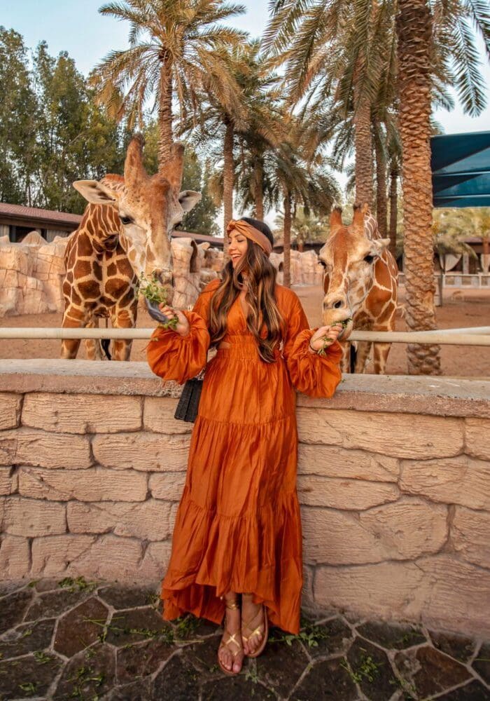 Emirates Park Zoo Iftar With Giraffes Abu Dhabi Things To Do UAE Travel Guide