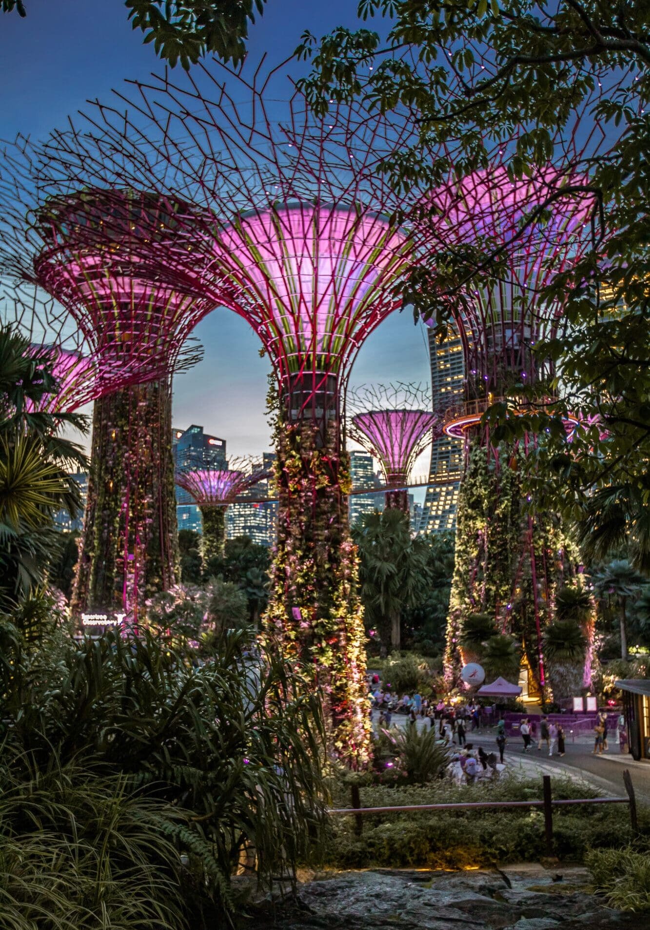 Gardens by the Bay Evening Light Show Super Tree Grove Singapore