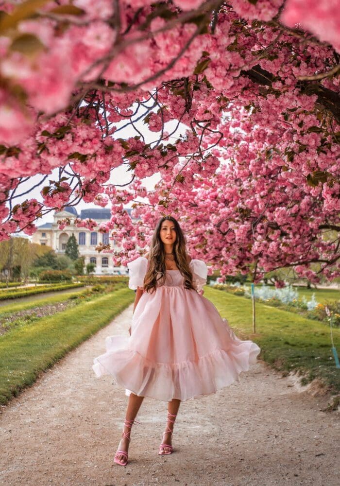 Jardin des plantes cherry blossom Paris Instagram Locations