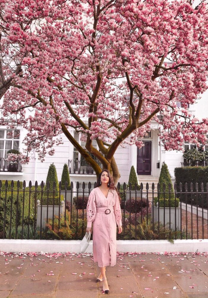Kensington Cherry Blossom Instagram Locations Spring London