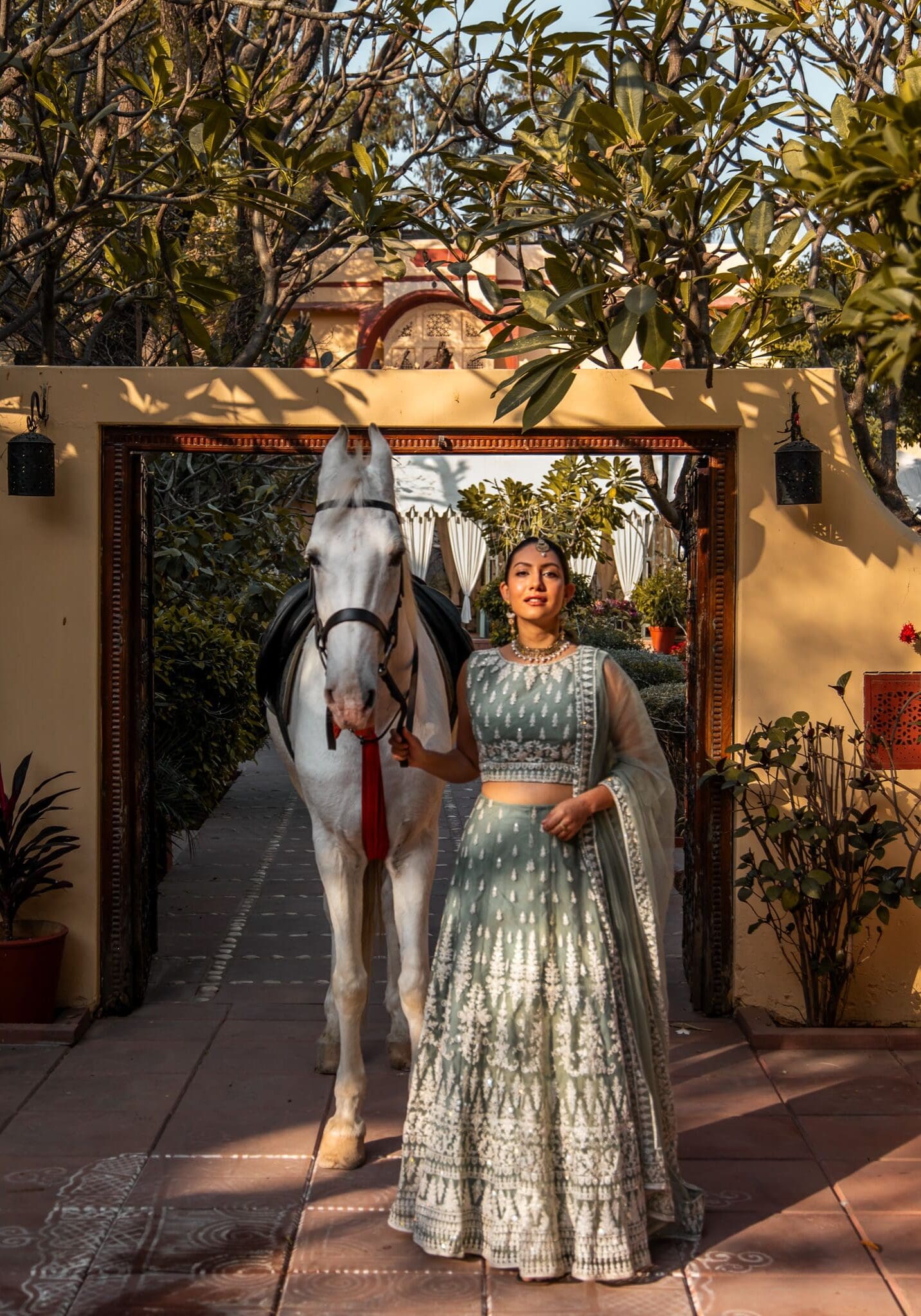 Marwari Horses at Rohet Garh Rajasthan India Hotel