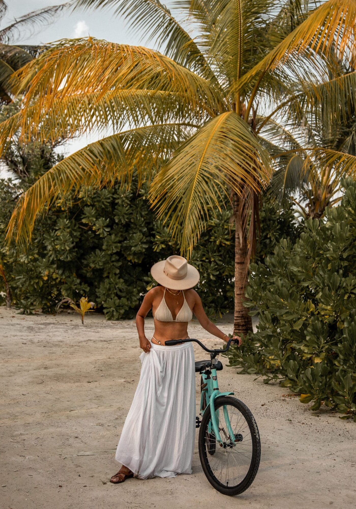 Palm tree biking Villa Nautica Maldives