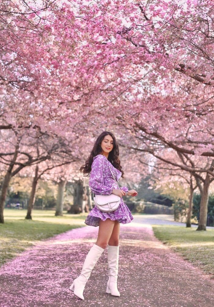 Ravenscourt Park Cherry Blossom Instagram Locations Spring London