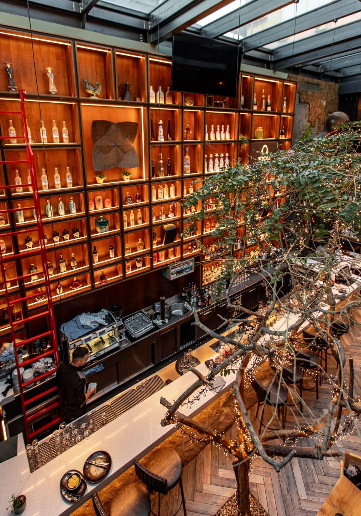 A bar flanked by a tall orange shelving unit, with a tree in front of it, at fine dining restaurant Salt in Tirana Albania