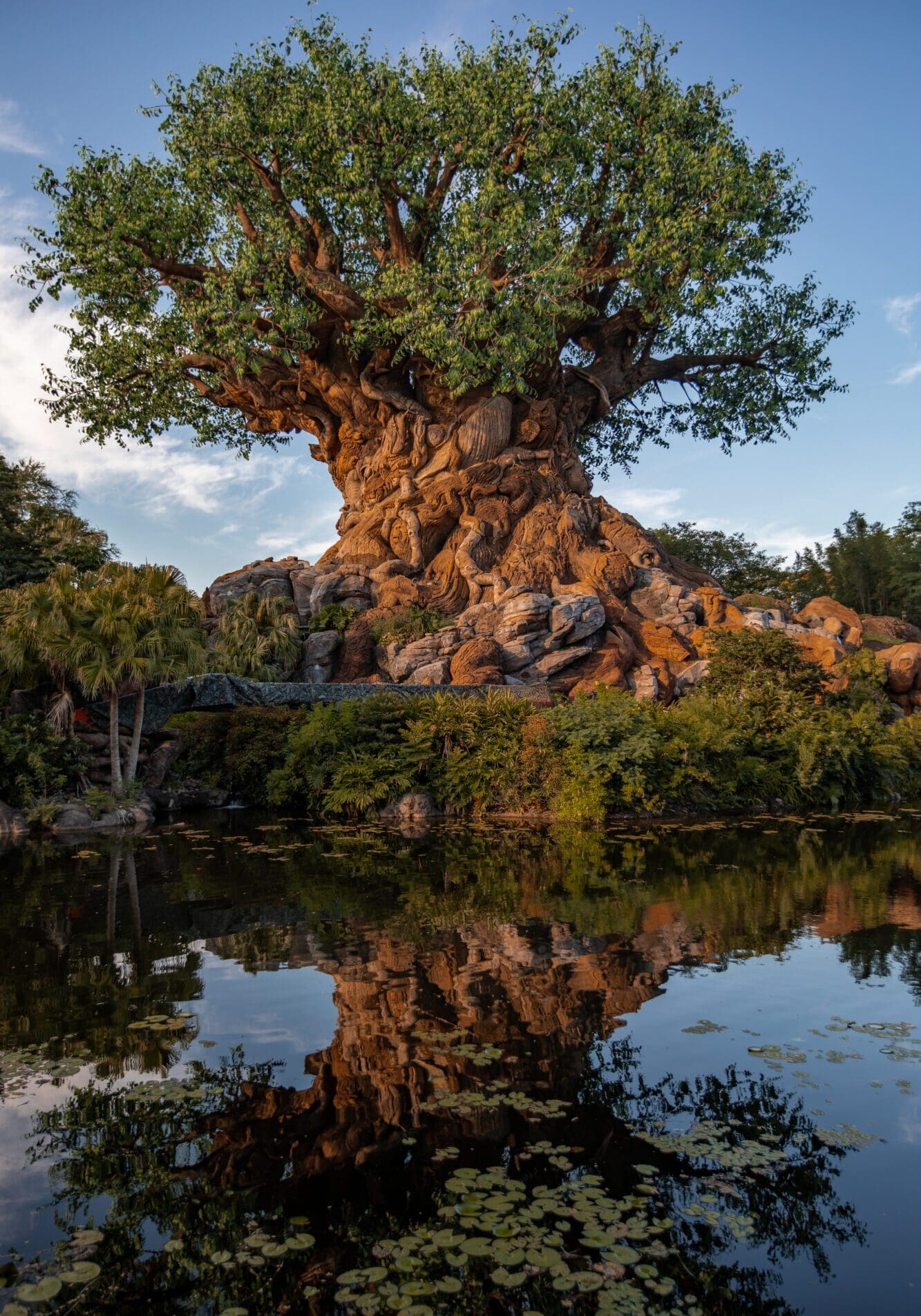 Tree of Life Animal Kingdom Photo Spots Disney World Florida Travel Holiday Guide UK Travel Blogger Instagram Photo Spots